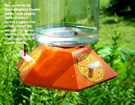 Bee Guard on Hummingbird feeder.