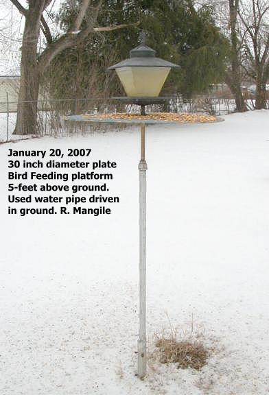 Platform feeder