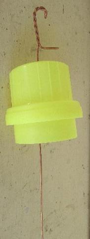 Wire applied in lid