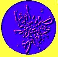 Chromosomes in a cell.