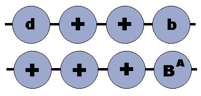 Sex Chromosome