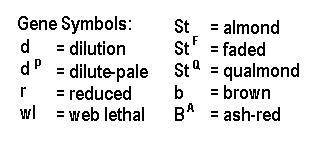 Gene Chart
